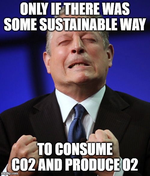 Al gore | ONLY IF THERE WAS SOME SUSTAINABLE WAY TO CONSUME CO2 AND PRODUCE O2 | image tagged in al gore | made w/ Imgflip meme maker