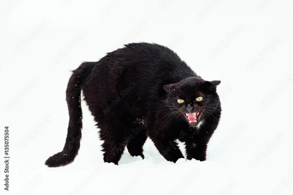 Epic Launch Fail Blank Meme Template