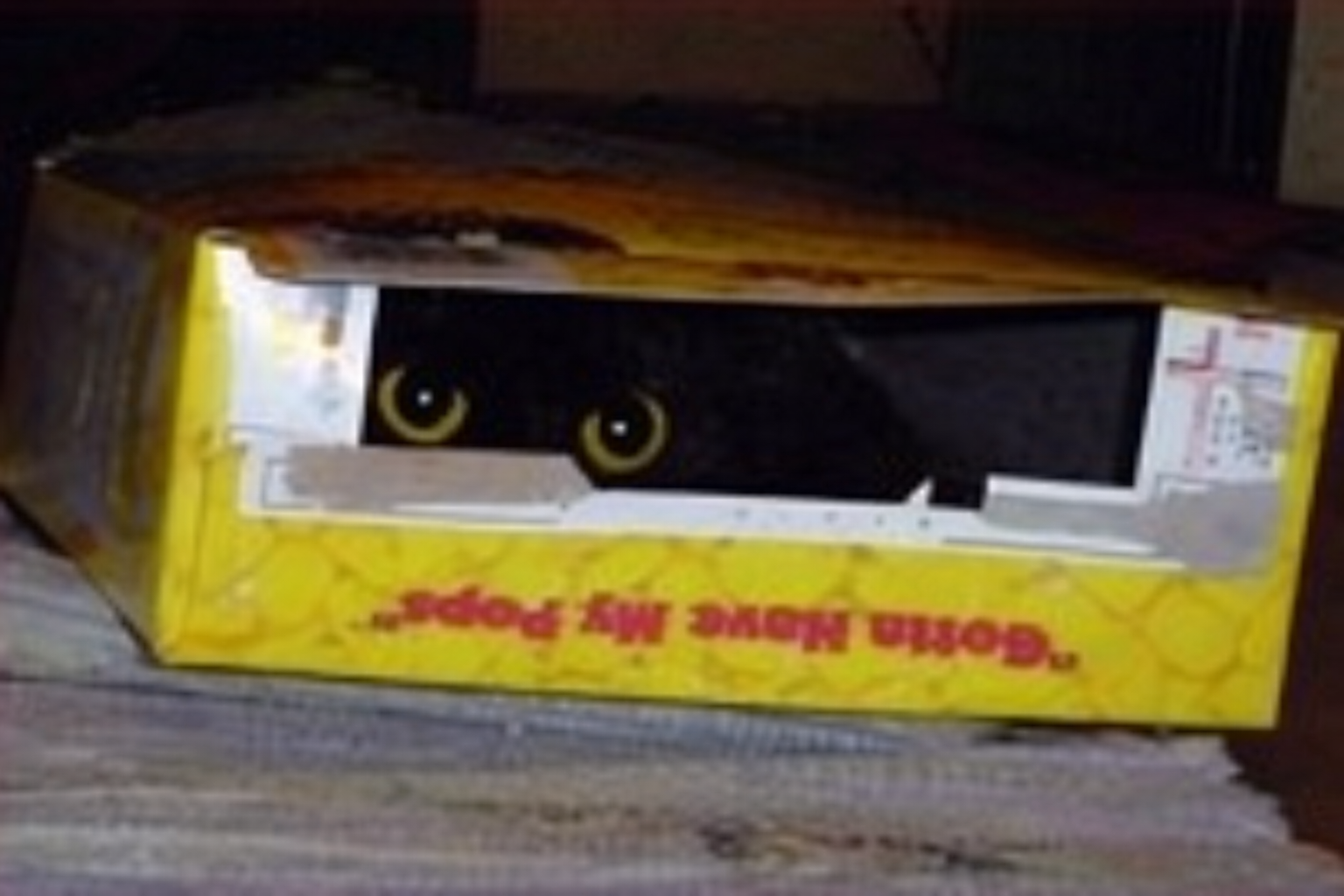 Chrisjoines1 Blank Meme Template