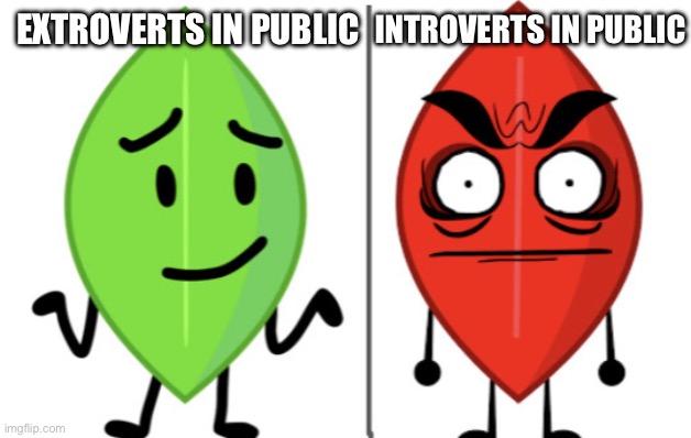 Extroverts vs Introverts | INTROVERTS IN PUBLIC; EXTROVERTS IN PUBLIC | image tagged in leafy vs evil leafy | made w/ Imgflip meme maker