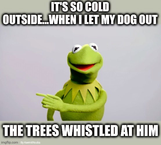 KermitRocks | image tagged in memes,funny memes | made w/ Imgflip meme maker