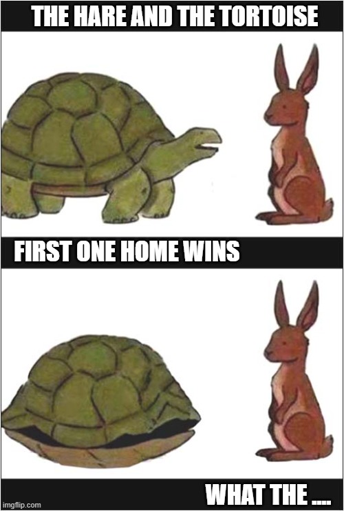 They're Always 'Racing' | THE HARE AND THE TORTOISE; FIRST ONE HOME WINS; WHAT THE .... | image tagged in the hare and the tortoise | made w/ Imgflip meme maker
