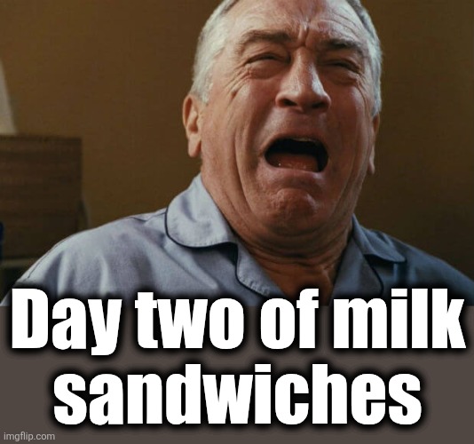 The hellish 2026 Snowmageddon | Day two of milk
sandwiches | image tagged in deniro crying,memes,milk sandwiches,blizzard,snow,panic | made w/ Imgflip meme maker