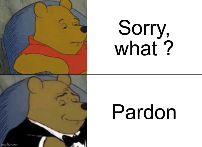 elon musk | Sorry, what ? Pardon | image tagged in memes,tuxedo winnie the pooh | made w/ Imgflip meme maker