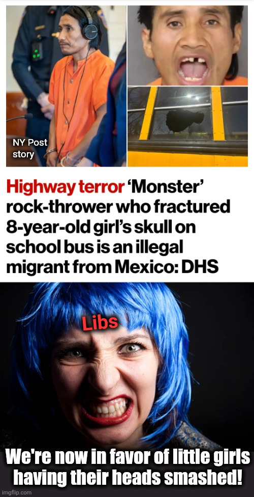 NY Post
story; Libs; We're now in favor of little girls
having their heads smashed! | image tagged in memes,illegal immigrants,democrats,trump derangement syndrome,hatred | made w/ Imgflip meme maker