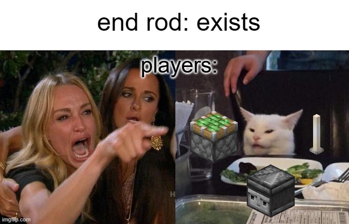cmon wtf are we doing | end rod: exists; players: | image tagged in memes,woman yelling at cat,minecraft memes | made w/ Imgflip meme maker