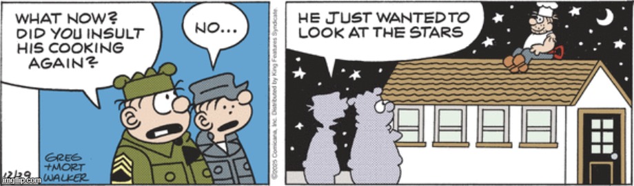 Beetle Bailey | image tagged in comics | made w/ Imgflip meme maker