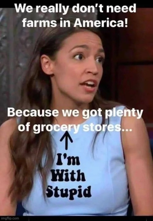 An Actual Quote | image tagged in aoc,stupid is as stupid does,dei hire,stupid voters,don't do it,drugs are bad | made w/ Imgflip meme maker
