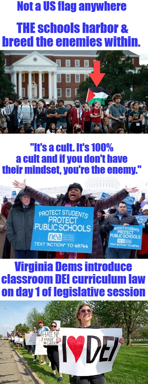 DEMs are the ones writing race based laws, That's Racist | Not a US flag anywhere; THE schools harbor & breed the enemies within. "It's a cult. It's 100% a cult and if you don't have their mindset, you're the enemy."; Virginia Dems introduce classroom DEI curriculum law on day 1 of legislative session | made w/ Imgflip meme maker