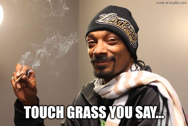 Snoop Dogg | TOUCH GRASS YOU SAY... | image tagged in snoop dogg | made w/ Imgflip meme maker