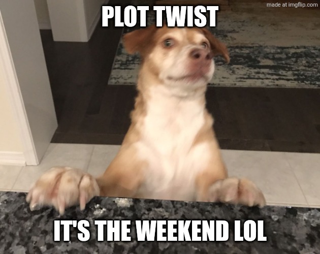 Plot twist | PLOT TWIST IT'S THE WEEKEND LOL | image tagged in plot twist | made w/ Imgflip meme maker
