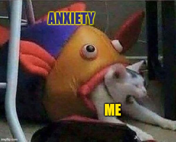 ORM vs ME | ANXIETY; ME | image tagged in orm vs me | made w/ Imgflip meme maker