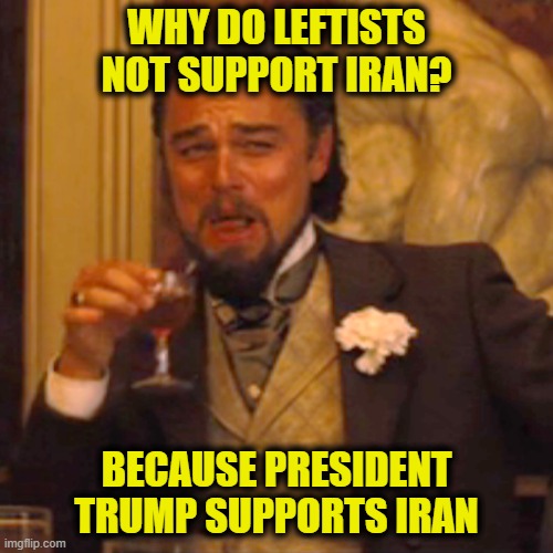More Leftist Logic | WHY DO LEFTISTS NOT SUPPORT IRAN? BECAUSE PRESIDENT TRUMP SUPPORTS IRAN | image tagged in memes,laughing leo | made w/ Imgflip meme maker