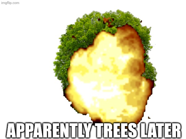 But fr stay safe yall (I’ll allow it as an announcement temp -PF) | APPARENTLY TREES LATER | made w/ Imgflip meme maker
