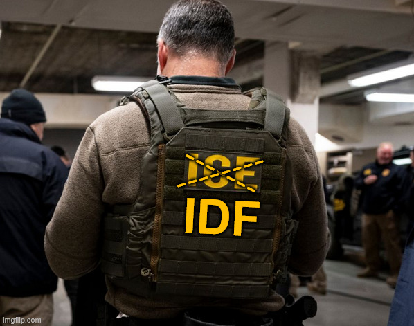 Truth in Advertising | --------; IDF; ------- | image tagged in idf,ice | made w/ Imgflip meme maker