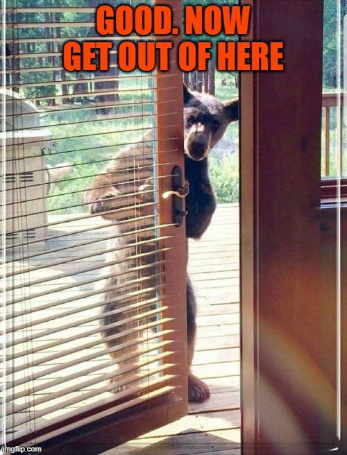 Bear cub opps | GOOD. NOW GET OUT OF HERE | image tagged in bear cub opps | made w/ Imgflip meme maker