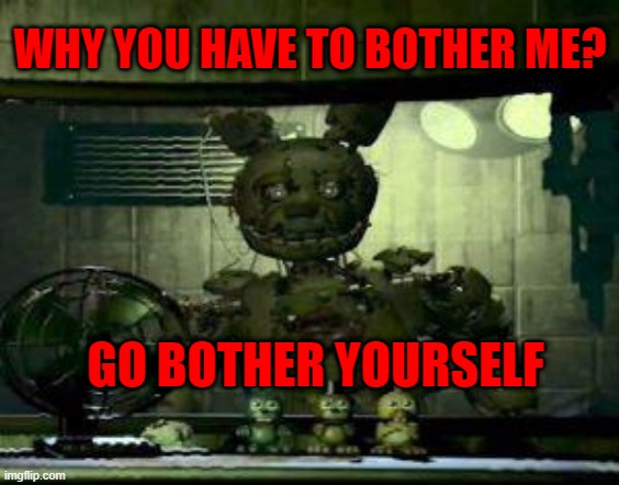 WHY YOU HAVE TO BOTHER ME? GO BOTHER YOURSELF | image tagged in fnaf springtrap in window | made w/ Imgflip meme maker