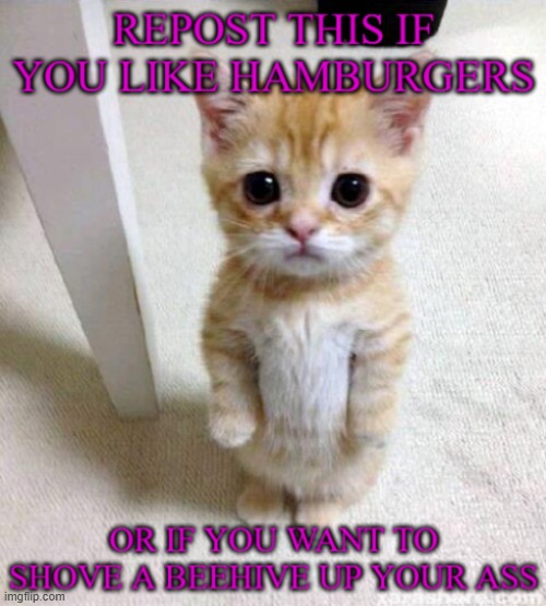 GrimNemo's repost thingy | image tagged in grimnemo's repost thingy | made w/ Imgflip meme maker