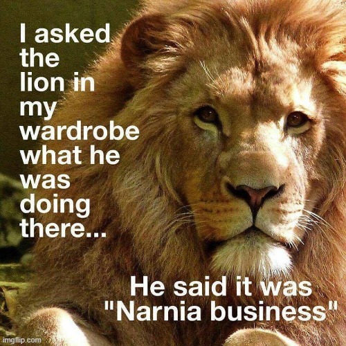 Lion sez he sells homes in Narnia. He mustn't sell Real Estate | image tagged in vince vance,the lion,witch,narnia,none of your business,wardrobe | made w/ Imgflip meme maker