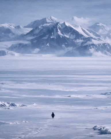 Nihilistic penguin Blank Meme Template