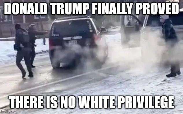 Striking a blow for equality | DONALD TRUMP FINALLY PROVED; THERE IS NO WHITE PRIVILEGE | image tagged in white privilege,donald trump | made w/ Imgflip meme maker
