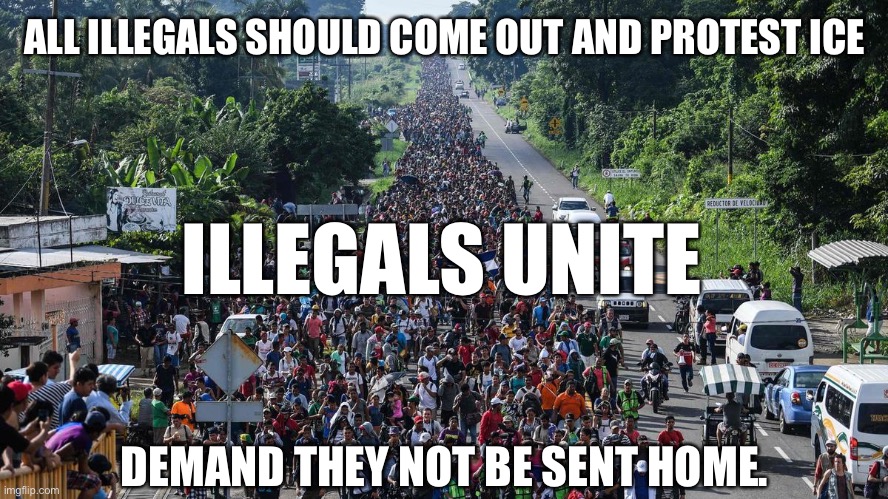Don’t let AWFUL do it alone. | ALL ILLEGALS SHOULD COME OUT AND PROTEST ICE; ILLEGALS UNITE; DEMAND THEY NOT BE SENT HOME. | image tagged in illegal invasion | made w/ Imgflip meme maker