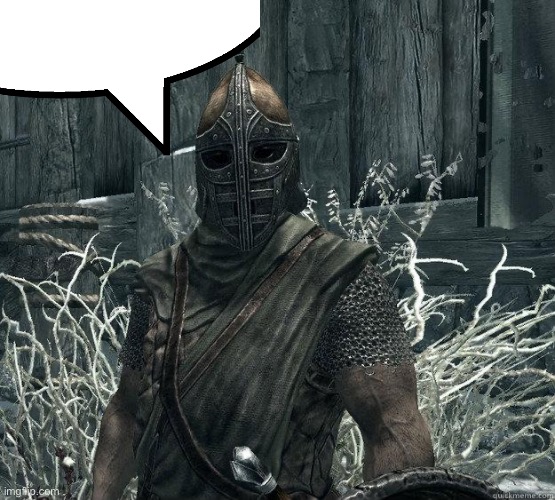 SkyrimGuard | image tagged in skyrimguard | made w/ Imgflip meme maker