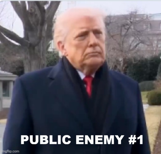 Convicted Rapist | image tagged in terrorists,trump | made w/ Imgflip meme maker