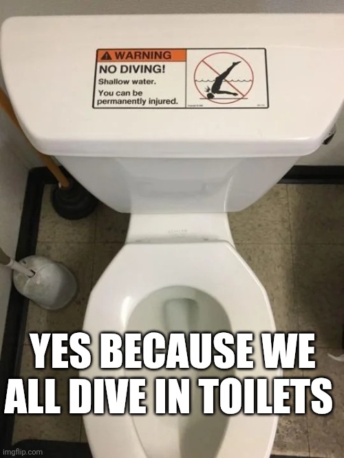 Yes Because We All Dive In Toilets | YES BECAUSE WE ALL DIVE IN TOILETS | image tagged in chrisjoines1 | made w/ Imgflip meme maker
