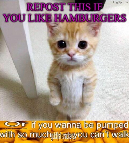 Goldfish crackers | image tagged in goldfish crackers | made w/ Imgflip meme maker