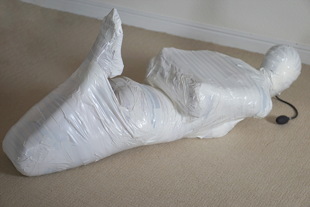 Mummified hogtie Blank Meme Template