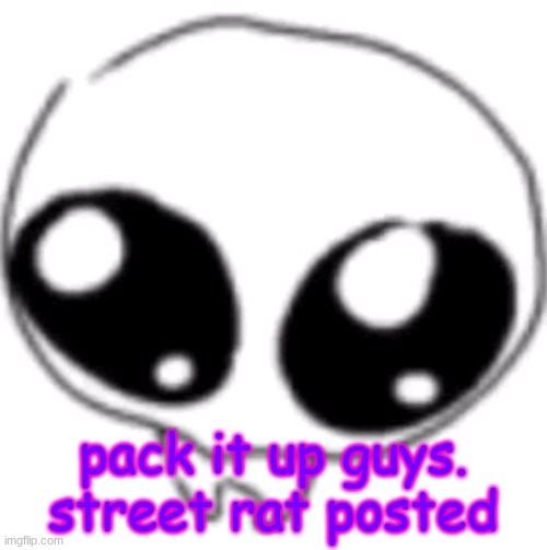 puppy eyes | pack it up guys. street rat posted | image tagged in puppy eyes | made w/ Imgflip meme maker
