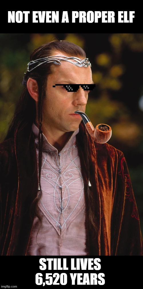 NOT EVEN A PROPER ELF; STILL LIVES 6,520 YEARS | image tagged in elrond,lotr | made w/ Imgflip meme maker
