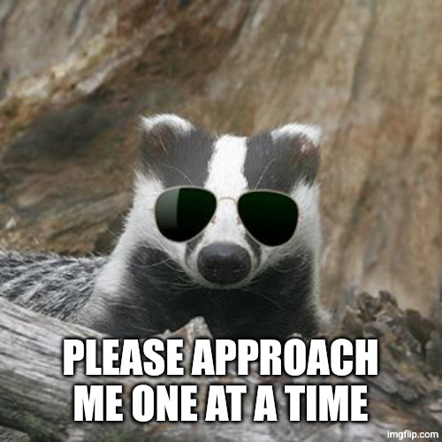 Cool Badger | PLEASE APPROACH ME ONE AT A TIME | image tagged in cool badger | made w/ Imgflip meme maker