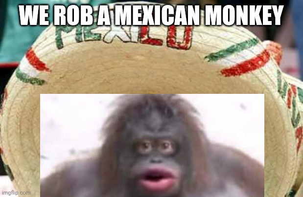 We rob a Mexican Monkey | WE ROB A MEXICAN MONKEY | image tagged in happy mexican,mexican,daft punk,misheard lyrics | made w/ Imgflip meme maker