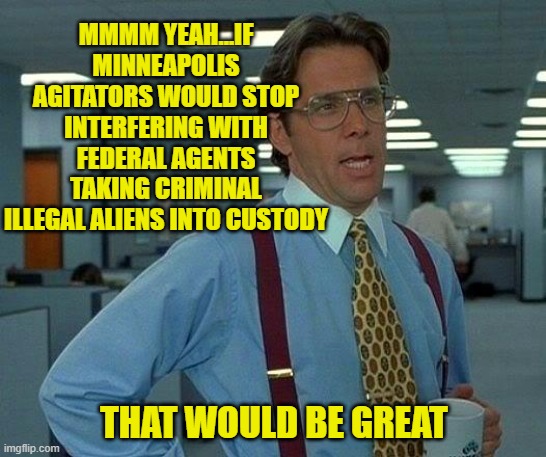 Minneapolis' Self-Created Mayhem | MMMM YEAH...IF MINNEAPOLIS AGITATORS WOULD STOP INTERFERING WITH FEDERAL AGENTS TAKING CRIMINAL ILLEGAL ALIENS INTO CUSTODY; THAT WOULD BE GREAT | image tagged in that would be great,minneapolis,ice,border patrol,illegal immigration,interference | made w/ Imgflip meme maker