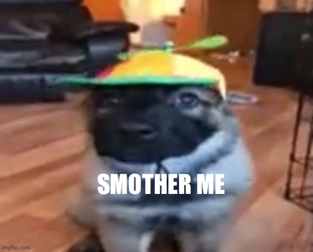 Idk why I’m doing this I’m bored lowkenuinely | SMOTHER ME | made w/ Imgflip meme maker