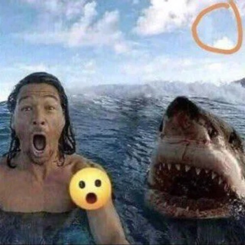 anyways the game i was playing was cancelled of an update so it broke | made w/ Imgflip meme maker