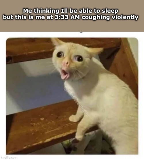 Dunno if im possessed now | Me thinking Ill be able to sleep but this is me at 3:33 AM coughing violently | image tagged in coughing cat | made w/ Imgflip meme maker