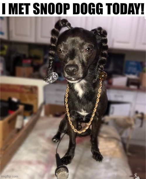 I Met Snoop Dogg Today! | I MET SNOOP DOGG TODAY! | image tagged in chrisjoines1 | made w/ Imgflip meme maker