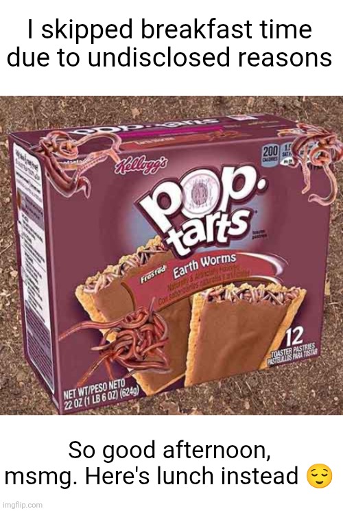 mb gang | I skipped breakfast time due to undisclosed reasons; So good afternoon, msmg. Here's lunch instead 😌 | image tagged in breakfast,pop tarts,msmg,good morning,yum,worms | made w/ Imgflip meme maker