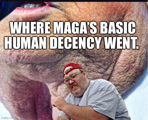 WHERE MAGA’S BASIC HUMAN DECENCY WENT. | made w/ Imgflip meme maker