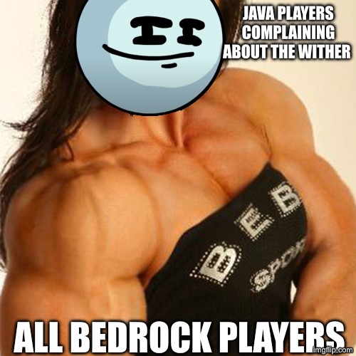 Muscular Woman | JAVA PLAYERS COMPLAINING ABOUT THE WITHER; ALL BEDROCK PLAYERS | image tagged in muscular woman | made w/ Imgflip meme maker