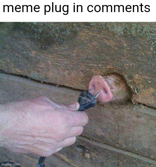 Upvote them and ty ty ty | meme plug in comments | image tagged in pig outlet,plug,meme plug,comments,upvotes,memes | made w/ Imgflip meme maker