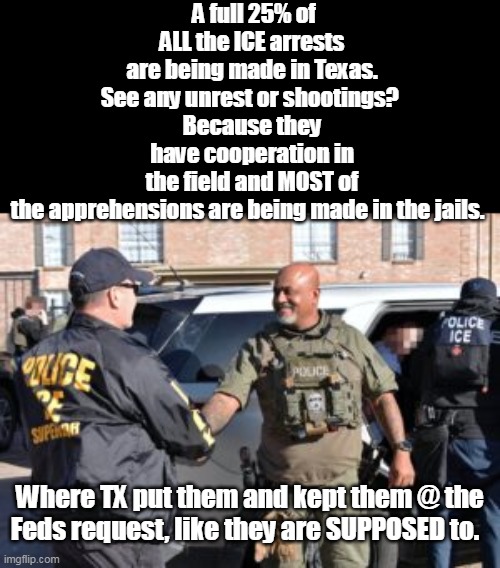 But then we'd be talking about Minnesota Stupid & Walz | A full 25% of ALL the ICE arrests are being made in Texas. See any unrest or shootings? 
Because they have cooperation in the field and MOST of the apprehensions are being made in the jails. Where TX put them and kept them @ the Feds request, like they are SUPPOSED to. | image tagged in ice cooperation texas meme | made w/ Imgflip meme maker