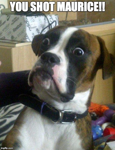 Blankie the Shocked Dog | YOU SHOT MAURICE!! | image tagged in blankie the shocked dog | made w/ Imgflip meme maker
