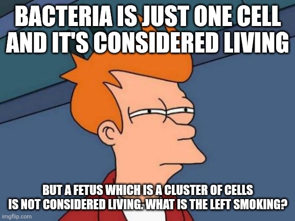 The left must be smoking something because there's no way this makes any sense | BACTERIA IS JUST ONE CELL AND IT'S CONSIDERED LIVING; BUT A FETUS WHICH IS A CLUSTER OF CELLS IS NOT CONSIDERED LIVING. WHAT IS THE LEFT SMOKING? | image tagged in memes,futurama fry | made w/ Imgflip meme maker