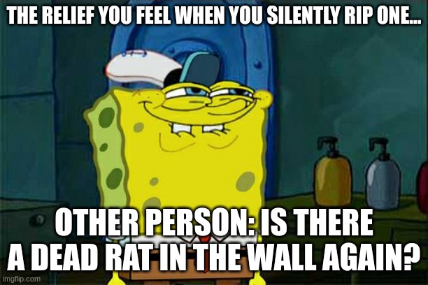 Gas regerts | THE RELIEF YOU FEEL WHEN YOU SILENTLY RIP ONE... OTHER PERSON: IS THERE A DEAD RAT IN THE WALL AGAIN? | image tagged in memes,don't you squidward | made w/ Imgflip meme maker