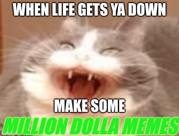 MAKE MONEY | image tagged in memes | made w/ Imgflip meme maker