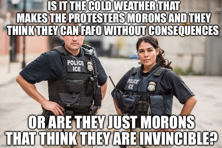 ICE Agents | IS IT THE COLD WEATHER THAT MAKES THE PROTESTERS MORONS AND THEY THINK THEY CAN FAFO WITHOUT CONSEQUENCES; OR ARE THEY JUST MORONS THAT THINK THEY ARE INVINCIBLE? | image tagged in ice agents | made w/ Imgflip meme maker